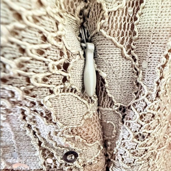 Scarlett Nite Floral Sheath Dress 8P Tan Gray Layered Lace Metallic Cap Sleeves - Picture 6 of 15